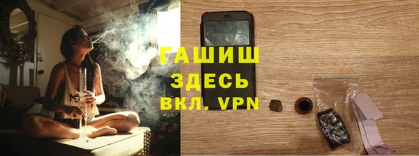 стафф Касимов