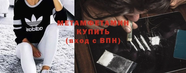 стафф Касимов