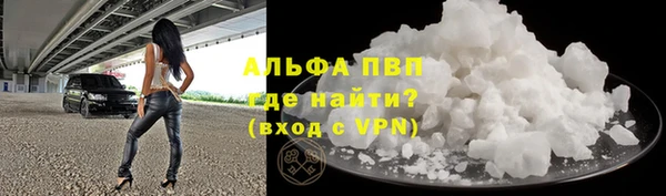 стафф Касимов