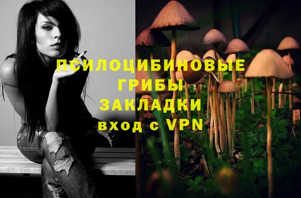 эйфоретик Каменка