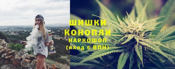 стафф Касимов