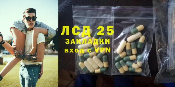 стафф Касимов